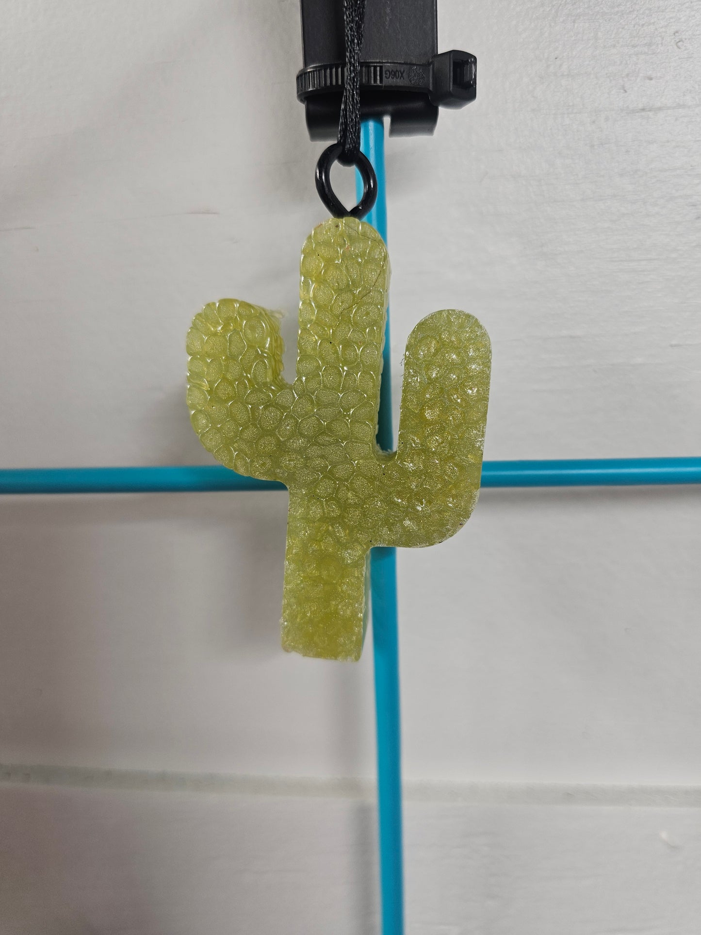 Catus