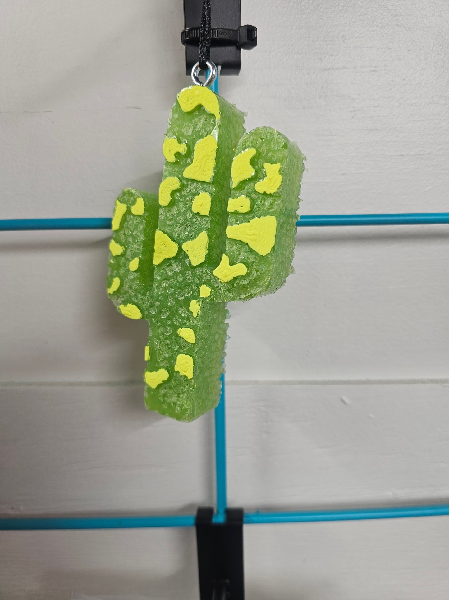 Catus
